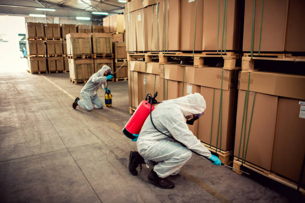 Best Exterminator Services  in Eaton Estates, OH