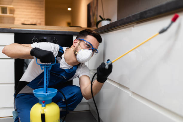 Best Cockroach Control Services  in Eaton Estates, OH