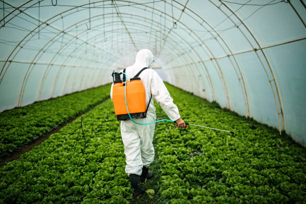 Best Commercial Pest Control Services  in Eaton Estates, OH