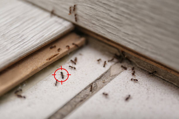 Best Pest Prevention Services  in Eaton Estates, OH