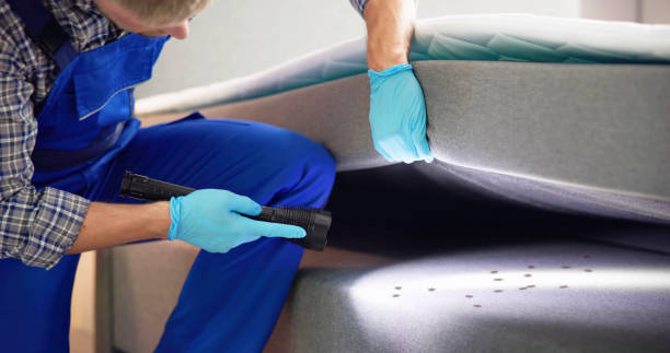 Best Pest Control Near Me  in Eaton Estates, OH