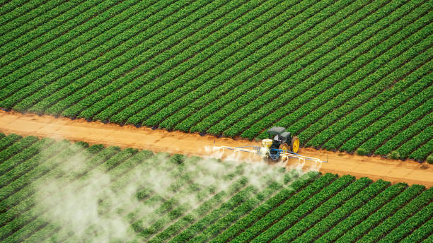 Best Best Pest Control Companies  in Eaton Estates, OH