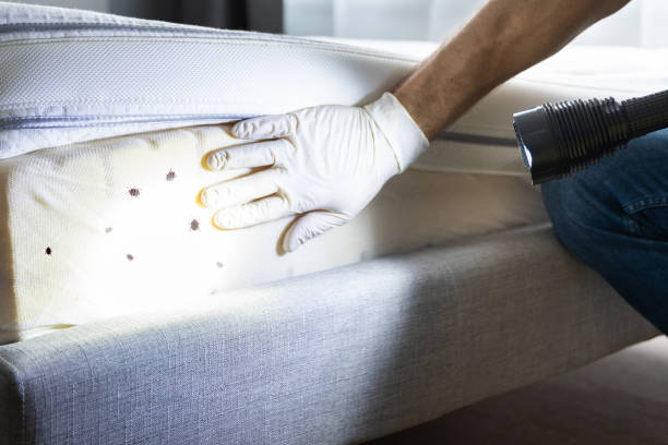 Best Affordable Pest Control Services  in Eaton Estates, OH