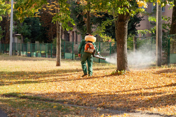 Best Pest Control Near Me in Eaton Estates, OH