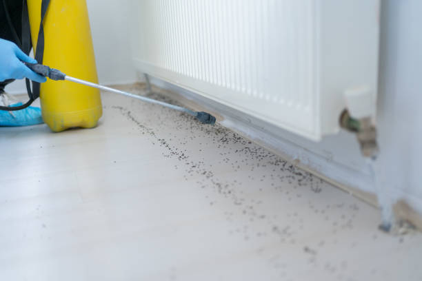 Reliable Eaton Estates, OH Pest Control Solutions
