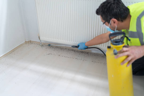 Best Cockroach Control Services  in Eaton Estates, OH