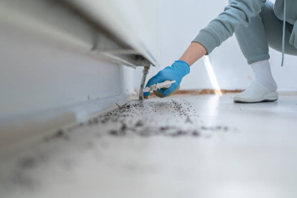 Best Emergency Pest Control  in Eaton Estates, OH