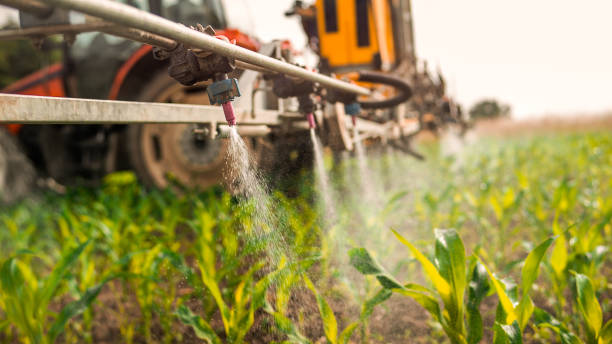 Best Commercial Pest Control Services  in Eaton Estates, OH