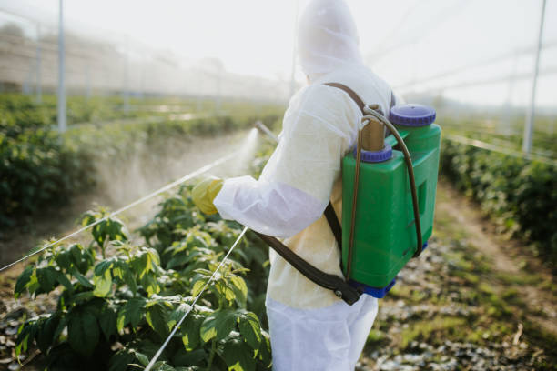 Best Best Pest Control Companies  in Eaton Estates, OH